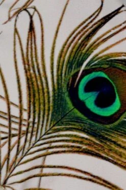 Aguaclara Swimwear Pavo Real Rosa Triangle Top & String Cheeky Bottom Set -Fashionable Swimwear aguaclara swimwear apparel accessories clothing swimwear aguaclara swimwear pavo real rosa triangle top string cheeky bottom set 28052441890914