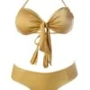 Liliana Montoya GAiA Gold Front Tie Bandeau Top & Cheeky Bottom Set