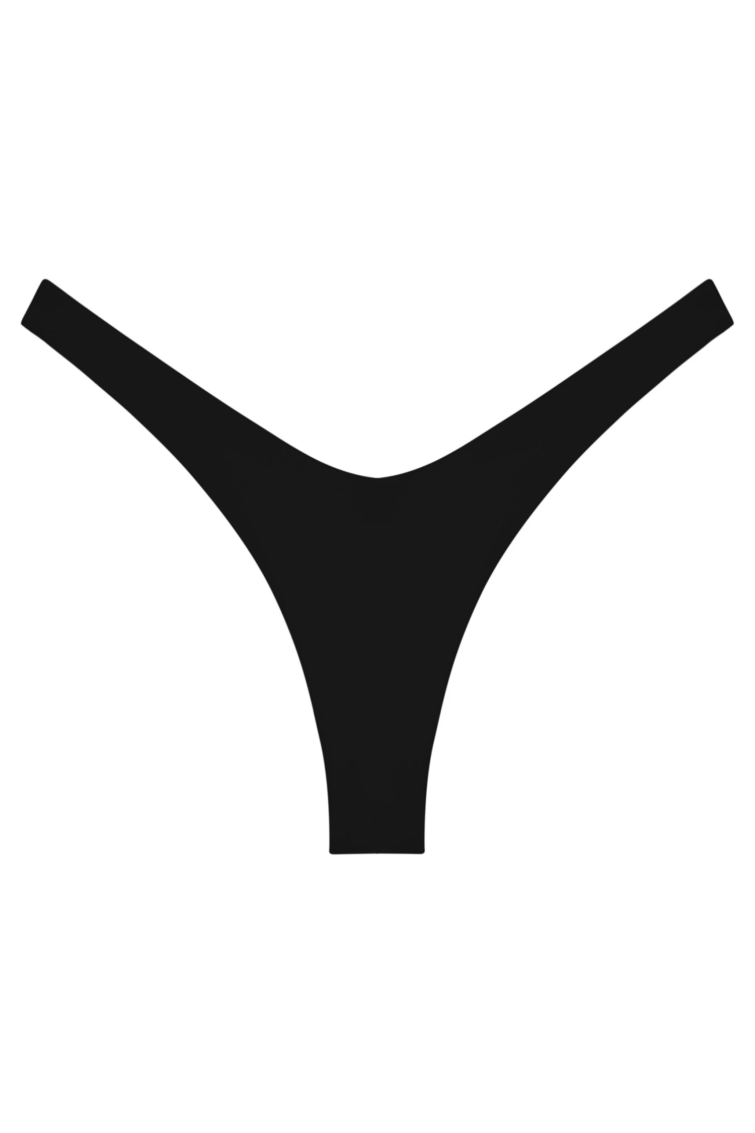 Ludisia Bottom 10 Ludisia Bottom - Image 10