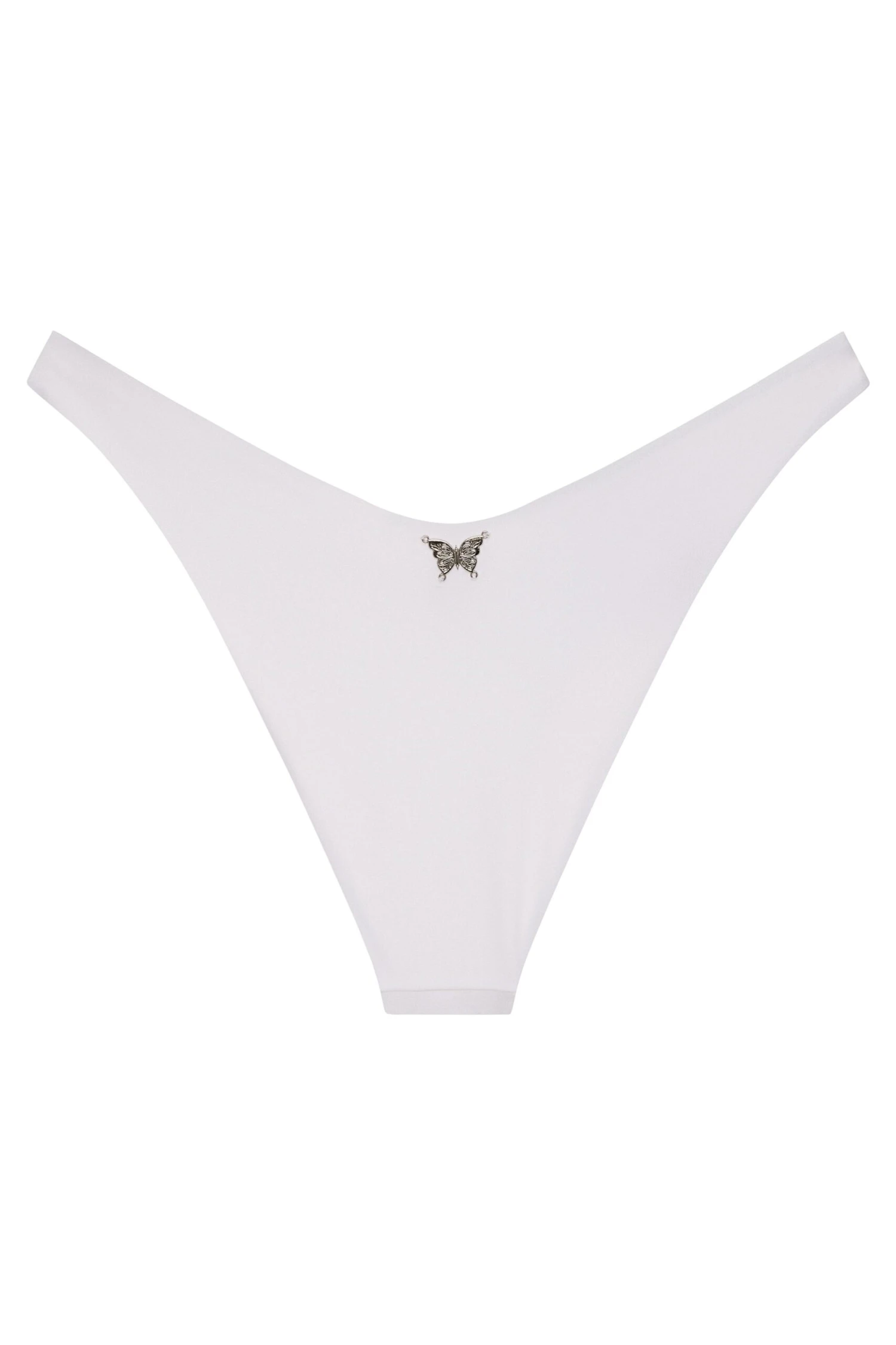 Ludisia Bottom 5 Ludisia Bottom - Image 5