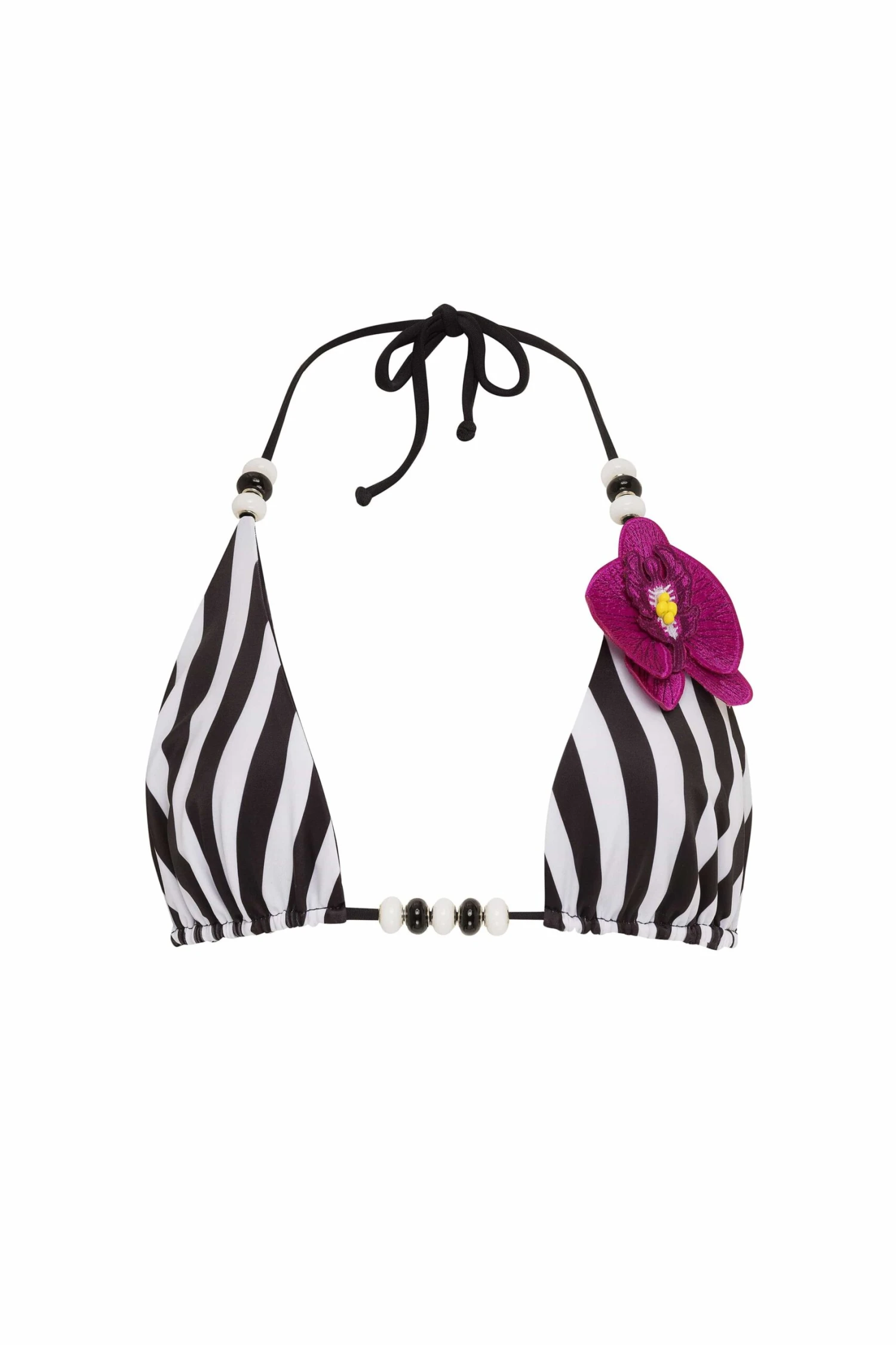 Lycaste Top 16 Lycaste Top - Image 16