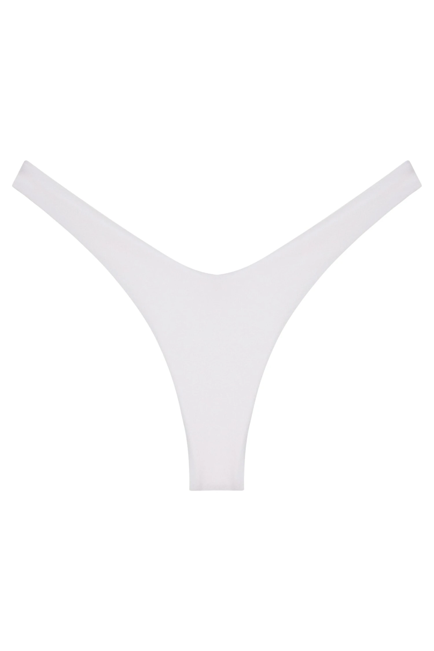 Ludisia Bottom 3 Ludisia Bottom - Image 3