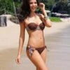 Two Piece Brown Cheetah Print Bandeau Bikini Set